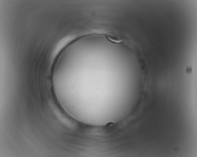 X0000113960104200910162013