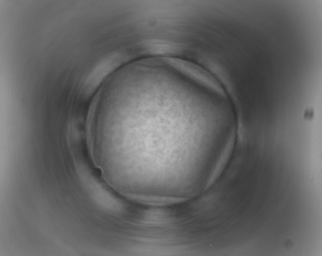 X0000113960105200910162013