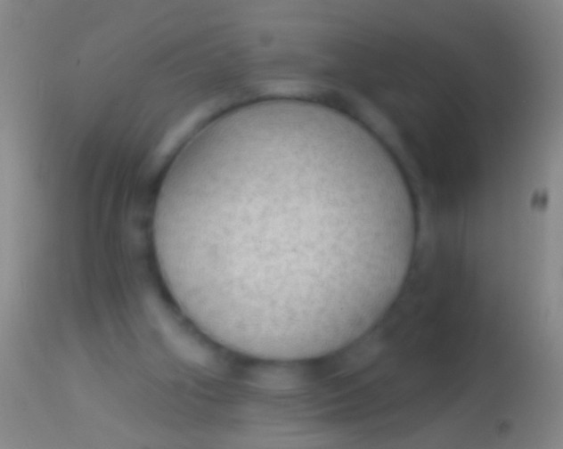 X0000113960106200910162013