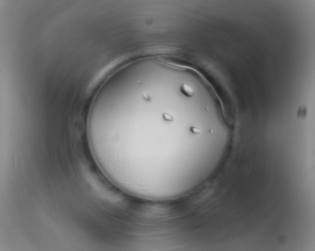 X0000113960107200910162013