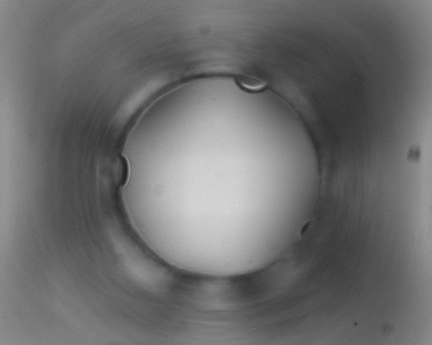 X0000113960108200910162013