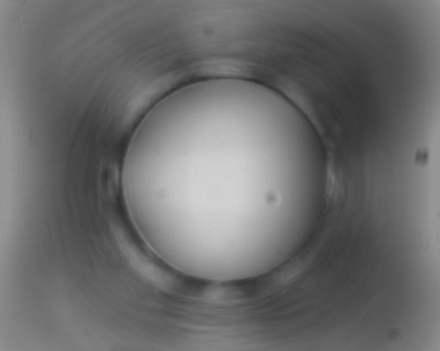 X0000113960109200910162013