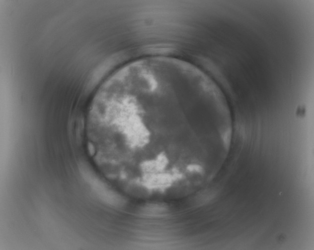 X0000113960110200910162013