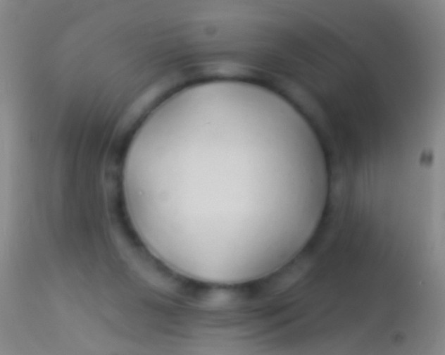 X0000113960111200910162013