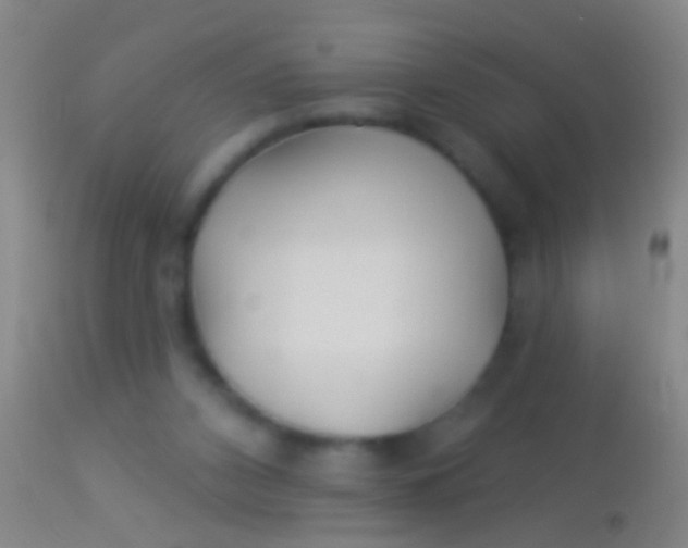 X0000113960112200910162013