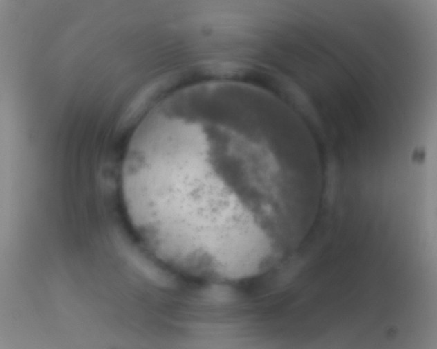 X0000113960114200910162013