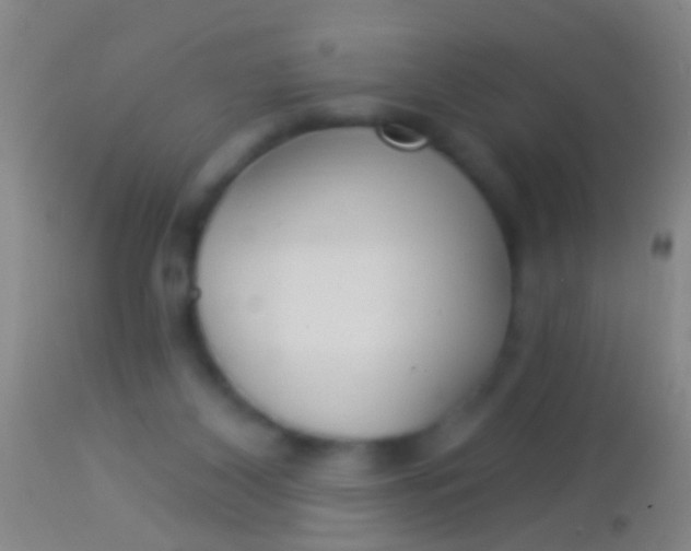 X0000113960116200910162013