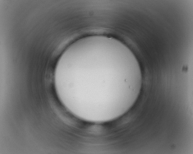 X0000113960119200910162013