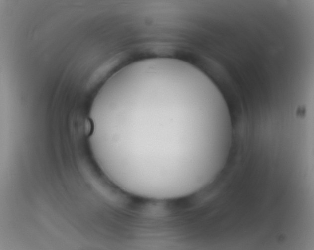 X0000113960120200910162013