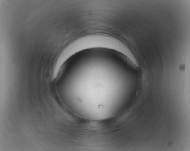 X0000113960121200910162013