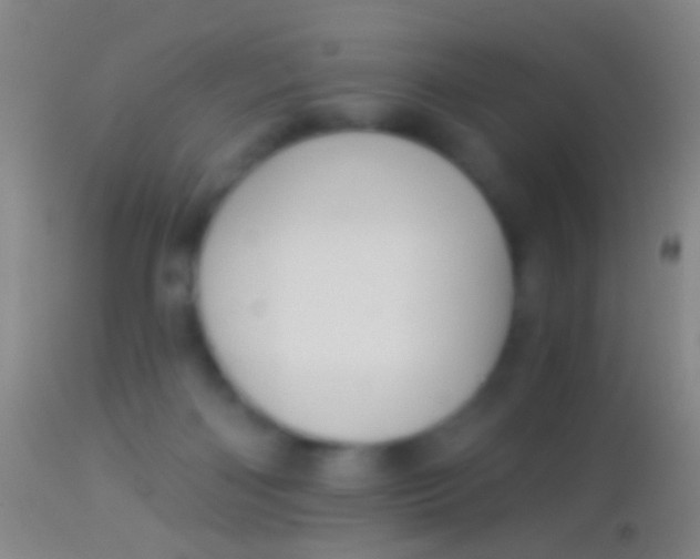 X0000113960122200910162013