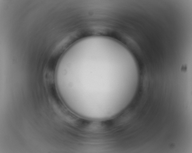 X0000113960123200910162013