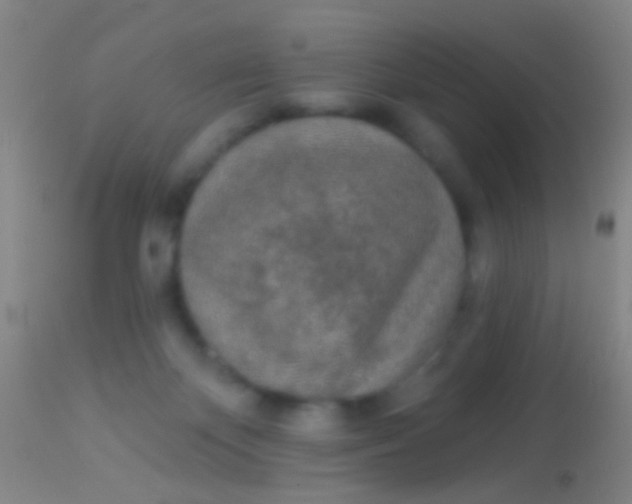 X0000113960124200910162013