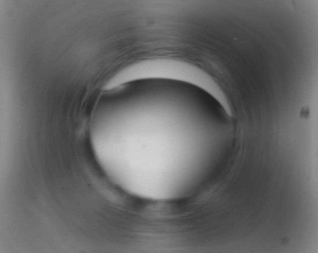 X0000113960125200910162013