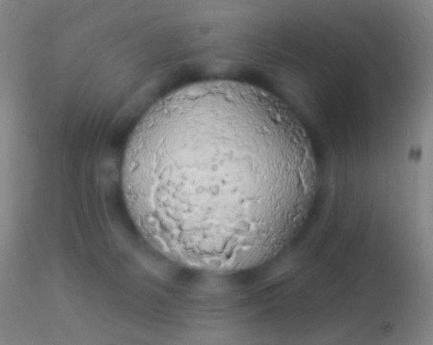 X0000113960127200910162013