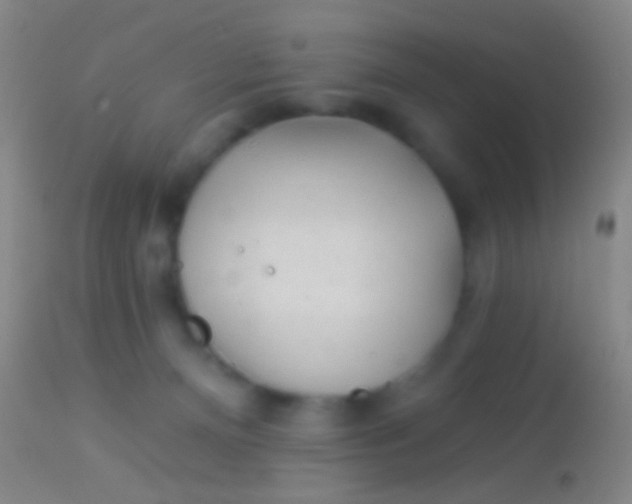 X0000113960128200910162013