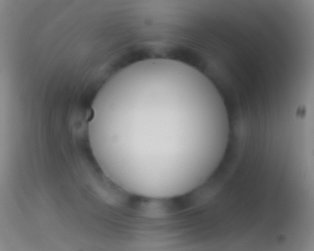 X0000113960129200910162013