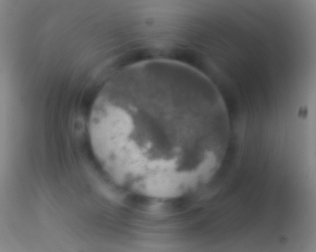 X0000113960130200910162013