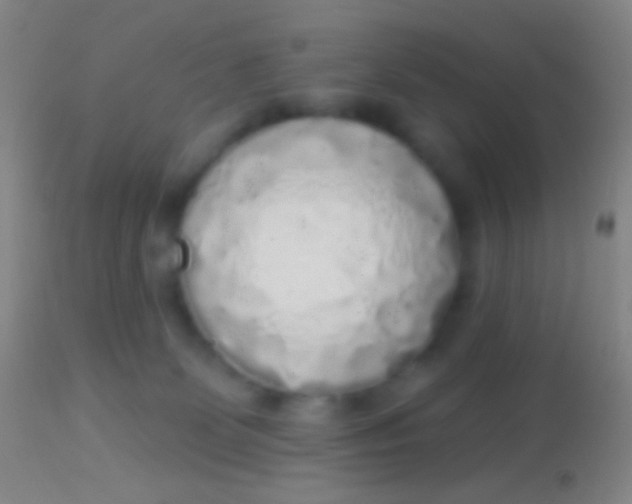 X0000113960131200910162013