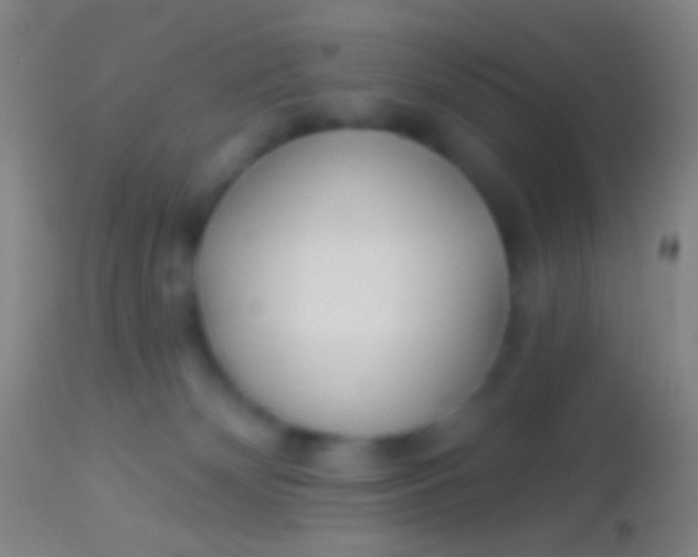 X0000113960132200910162013