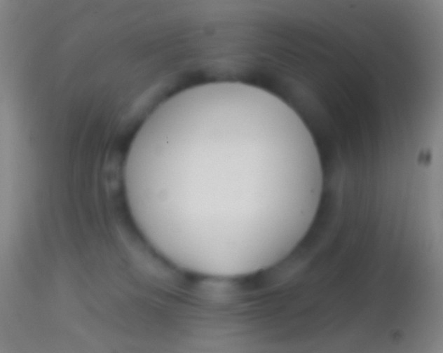 X0000113960133200910162012