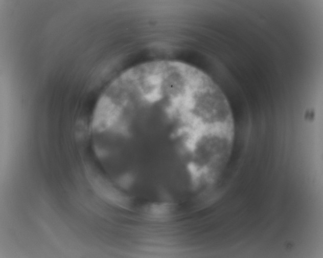 X0000113960134200910162012