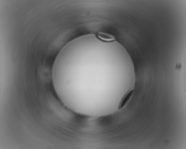 X0000113960136200910162012