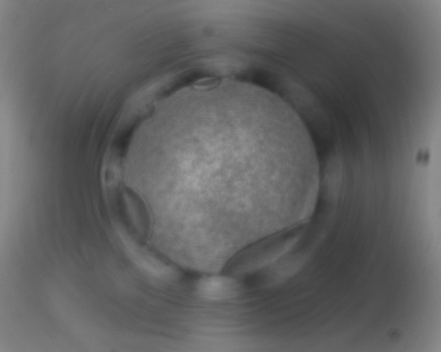 X0000113960137200910162012