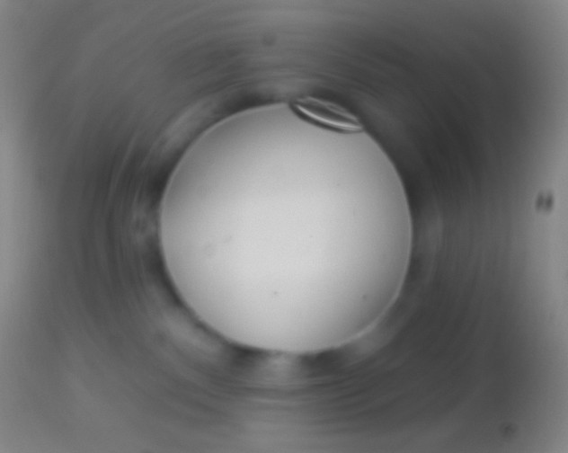 X0000113960140200910162012