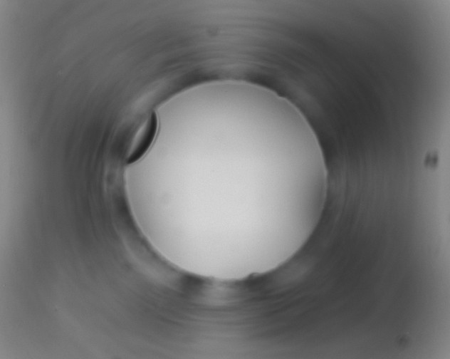 X0000113960141200910162012