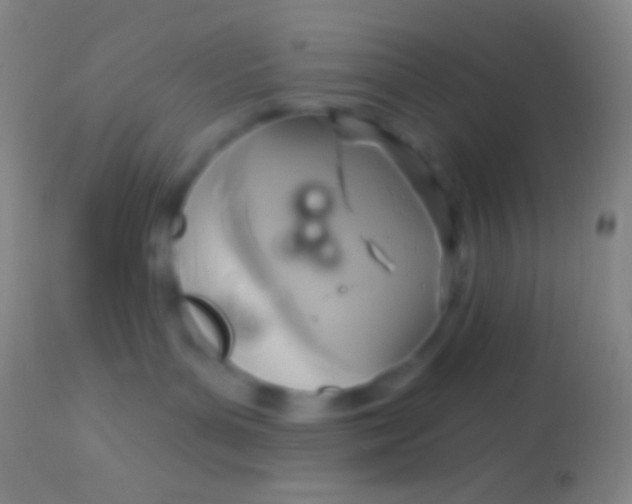 X0000113960143200910162012