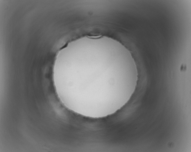 X0000113960144200910162012