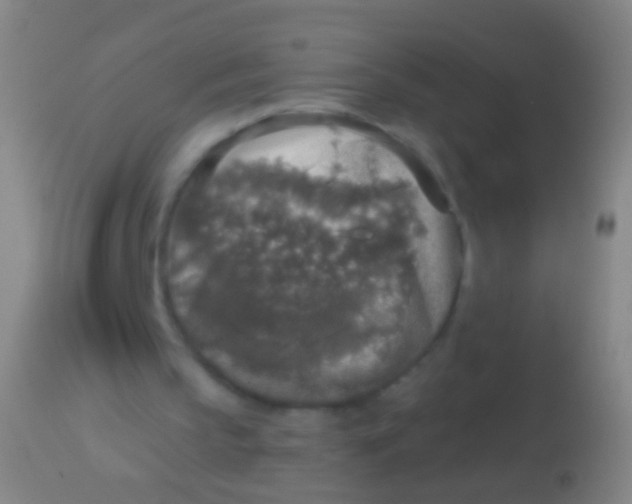 X0000113960145200910162012