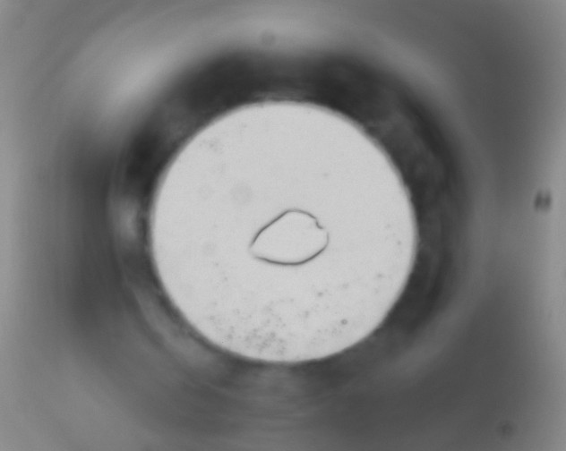 X0000113960146200910162012