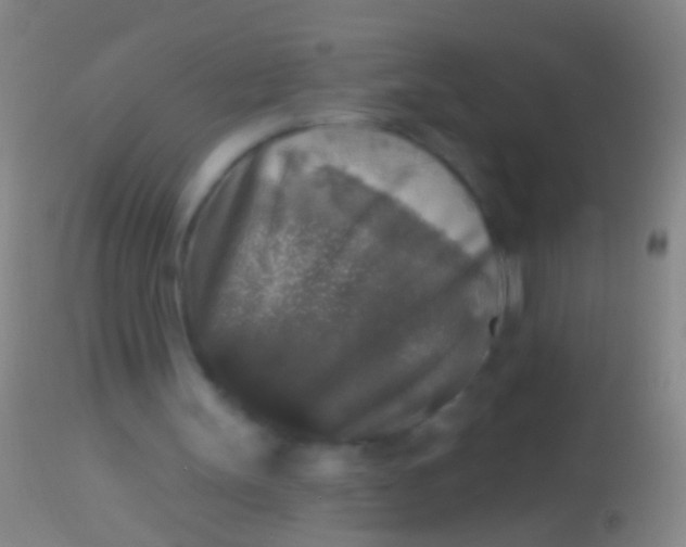 X0000113960147200910162012