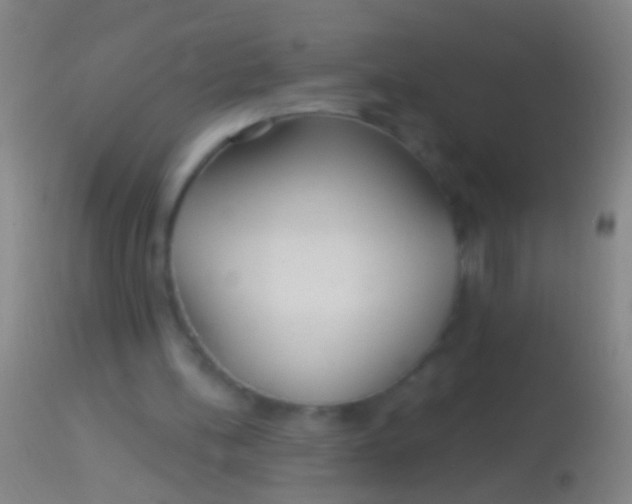 X0000113960148200910162012