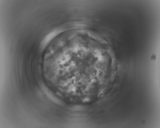 X0000113960149200910162012