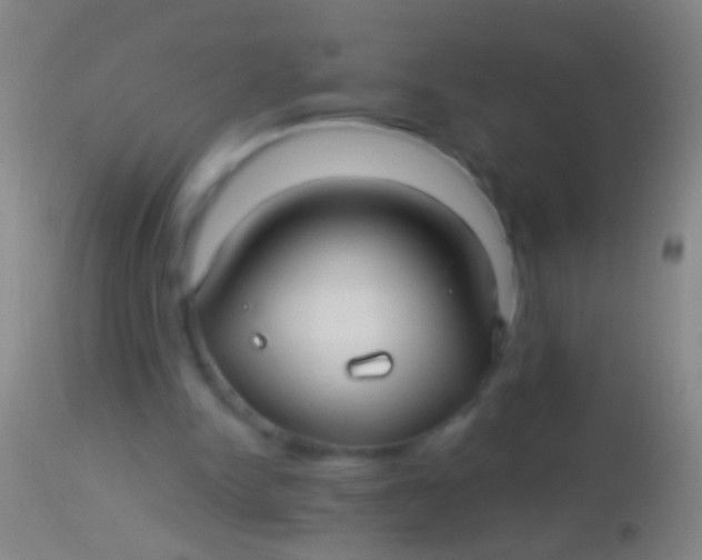 X0000113960150200910162012