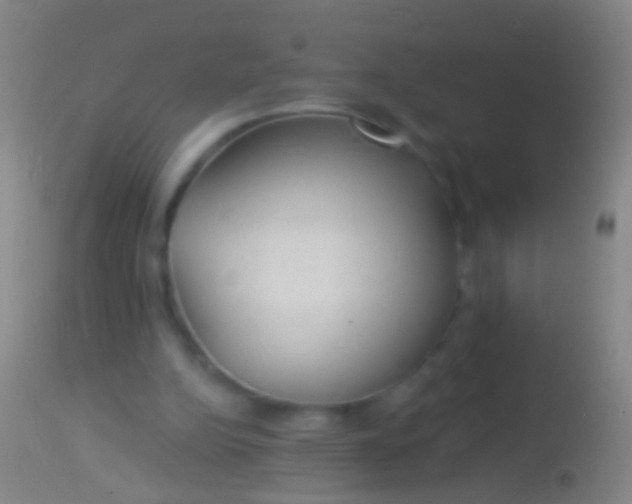 X0000113960152200910162012