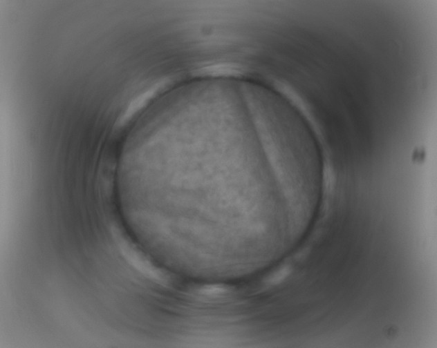 X0000113960153200910162012