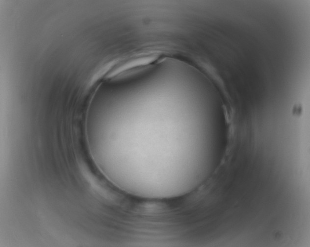 X0000113960154200910162012