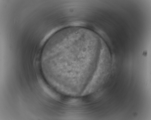 X0000113960155200910162012