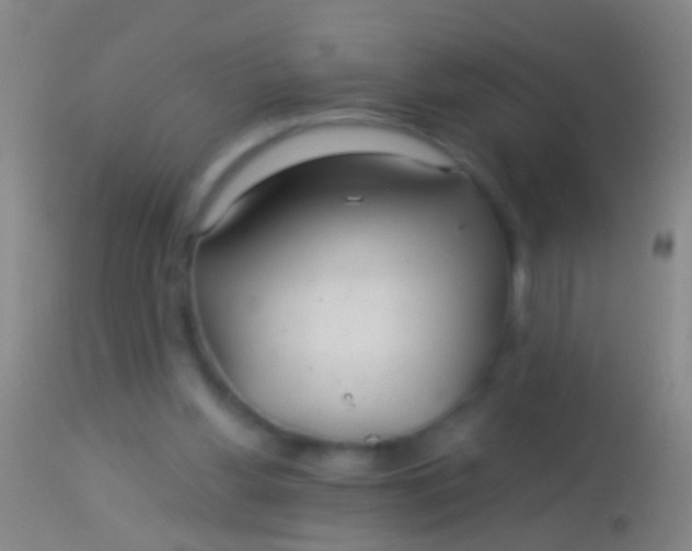 X0000113960156200910162012