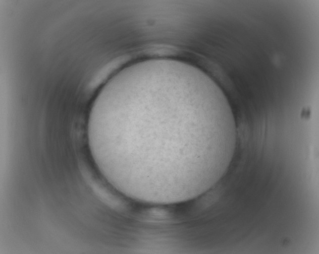 X0000113960159200910162012