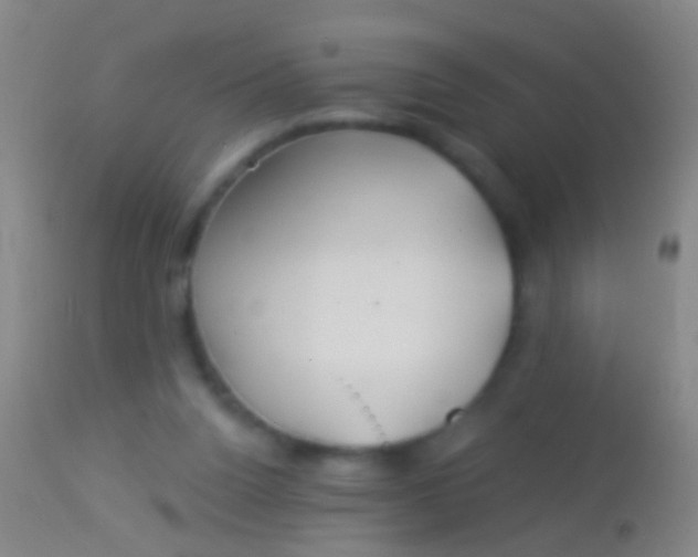 X0000113960160200910162012