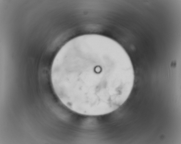 X0000113960162200910162012