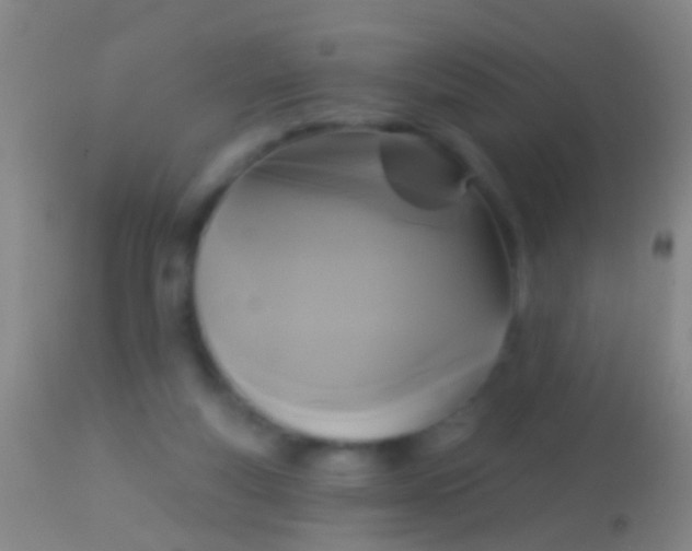 X0000113960163200910162012