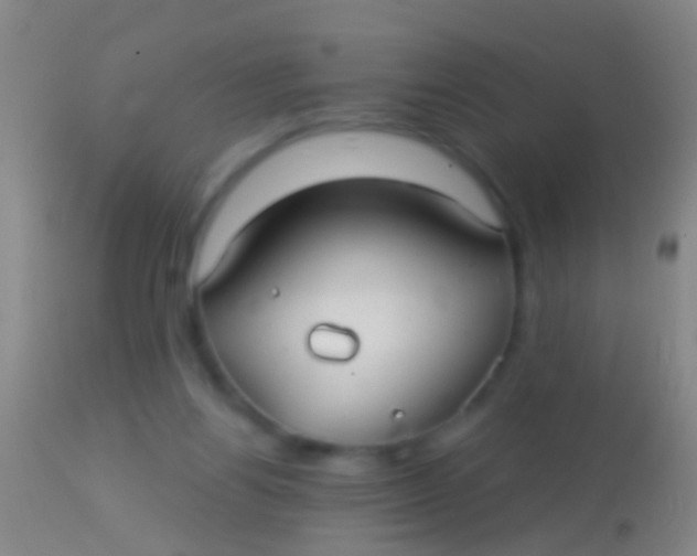 X0000113960164200910162012