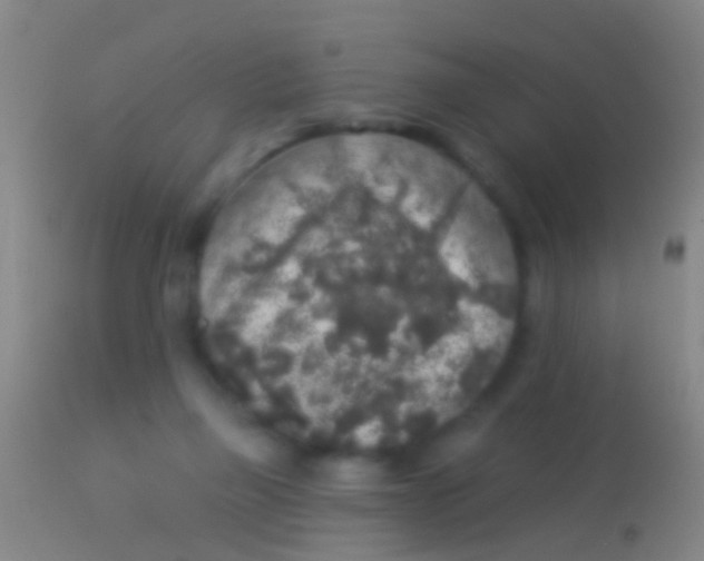 X0000113960165200910162012