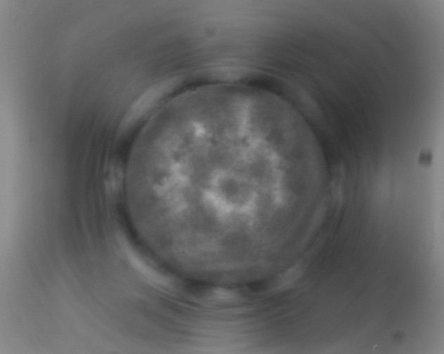 X0000113960166200910162012